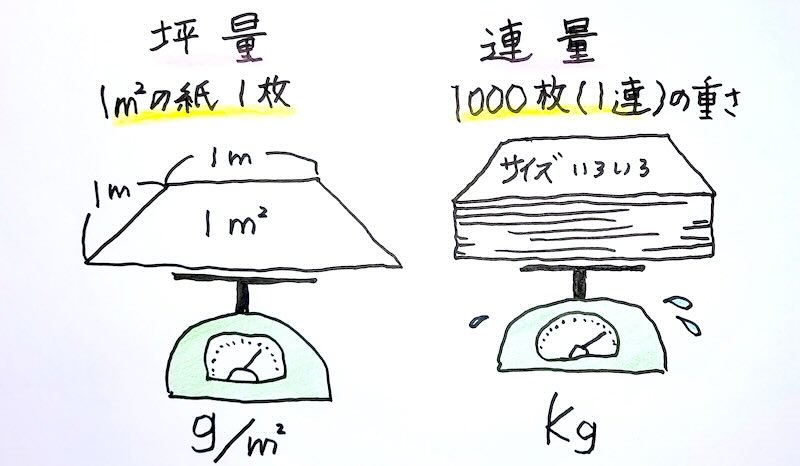 坪量と連量の違いを示した図解