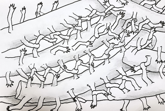 セルロースの「水素結合」イメージイラスト