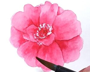 サザンカの花弁をさらにグラデーションで濃淡を強調した彩色ステップ。花弁の濃い部分に赤い絵の具を差し込み、それを少し水を含ませた筆で広げていく様子を示したグラデーション第2段階の図。絵の具は、ホルベインの透明水彩絵の具。