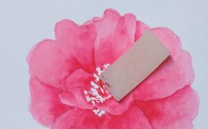 花弁を彩色した絵の具が乾いた後、マスキングインクをラバークリーナーで剥がしている所の画像。ラバークリーナーは3cm程度に切って使用する。