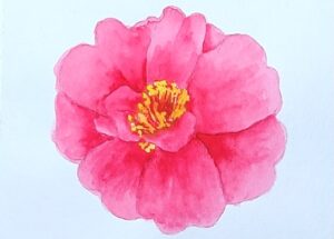 白抜きした部分に黄色の絵の具を塗って雄蕊と雌蕊を仕上げたサザンカの完成図。