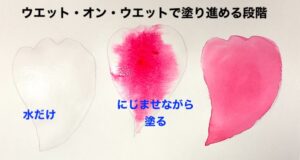 ウェットオンウェット技法で描かれたサザンカの彩色ステップ。水を含ませた花弁に赤の絵の具がにじむ様子を段階的に示した図。この技法は広い面積の彩色に向いている。絵の具は、ホルベインの透明水彩絵の具。