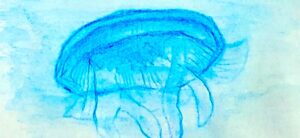 グラデーションを使って、一色で表したクラゲのイラスト