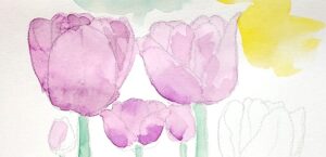 透明水彩で描かれたチューリップの制作途中段階を示す画像。淡い下塗りから影が重なるまでの変化が分かる。