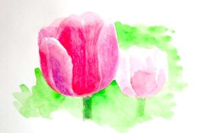やさしい色合いで描かれた一輪のチューリップの水彩画。