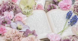 水彩でバラを描くための「考え方の整理」を解説する前に、ほっと一息入れるための、開いた本の周りに薔薇が敷き詰められている画像