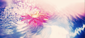 「水彩色鉛筆と普通の色鉛筆ここが違うよ」を説明するセクションの扉絵となる花と水を描いた抽象的なAI画像