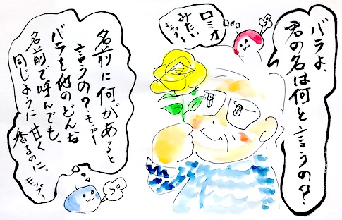 水彩画でバラの下描きをする前に、実物観察をする筆者マキノロランのイラスト