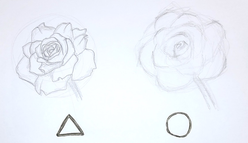 水彩画のバラの下描きをする際に、描き込みすぎないように解説している2種類の下描きの比較図