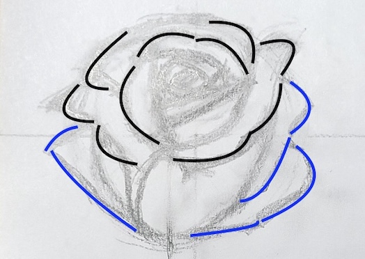 バラ 下描き 花びらの縁に丸み 外側に花びらを増やす