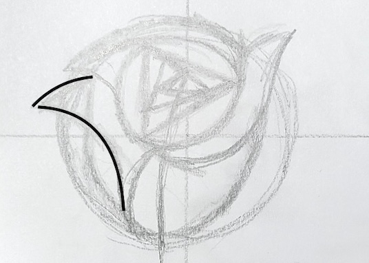 水彩で描くバラの下描き。外周の配置を曲線で示している。