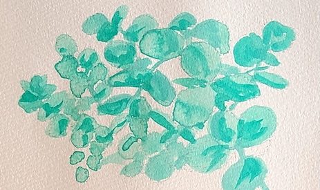 チャイニーズホワイトとビリジャンヒューの混色で描いたユーカリの葉スケッチ