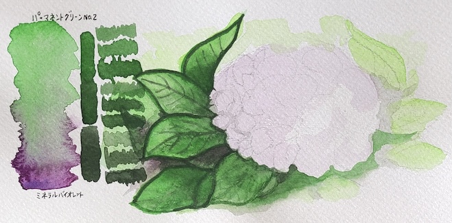 ミネラルバイオレットとパーマネントグリーン No.2の混色で描いた、重なり合うアジサイの葉の透明水彩スケッチと混色スウォッチ 