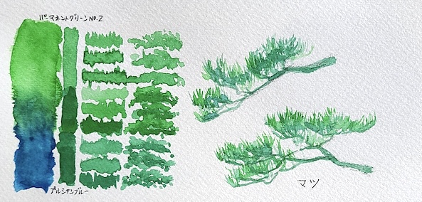 プルシャンブルーとパーマネントグリーン No.2の混色で描いた松の透明水彩スケッチと混色スウォッチ 