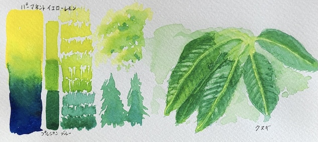 プルシャンブルーとパーマネントイエローレモンの混色で描いた、真夏のクヌギの葉の透明水彩スケッチと混色スウォッチ