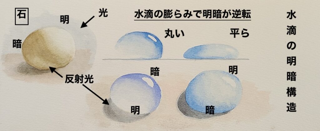 水滴の表面における光の屈折と陰影(シャドウ)の分析図