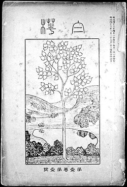 白樺 創刊号 美術運動