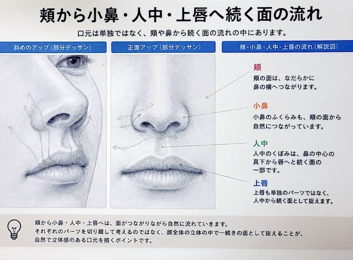 人物画における頬から小鼻、人中、上唇へ続く面の流れを解説した図