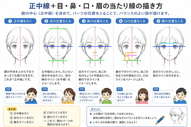 人物画初心者向け 正中線を使った顔の当たり線の描き方を解説する図