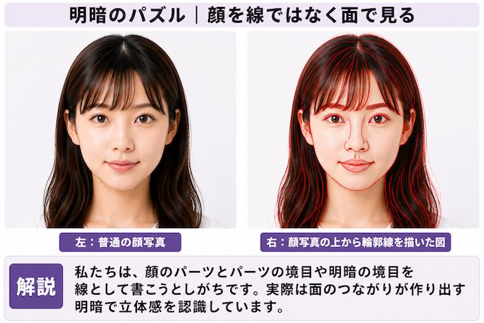 人物画 線で顔を認識する脳の働きと光と影による立体表現
