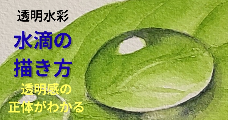 透明水彩で葉の上の水滴を描きながら透明感の表現方法を学ぶアイキャッチ画像