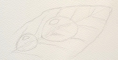 透明水彩で水滴を描くための葉と水滴の下描き