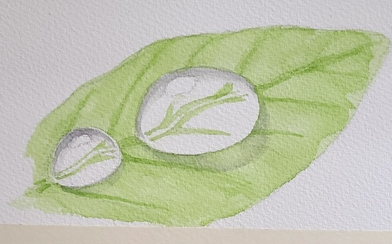 透明水彩で接地影と葉脈を描き、水滴の立体感を作る工程