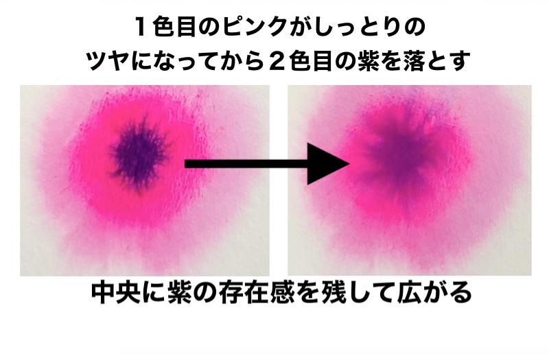 透明水彩で1色目のピンクがしっとりしたツヤになってから、中央に2色目の紫を落としてにじませた比較画像