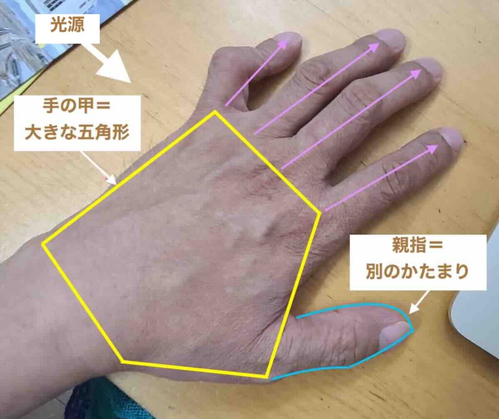 手の甲を五角形として捉え、親指を別のかたまり、指をわずかな放射状に見るデッサン解説図