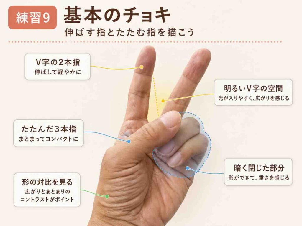基本のチョキで伸ばした2本指とたたんだ3本指、V字の空間と明暗の対比を示したデッサン解説図