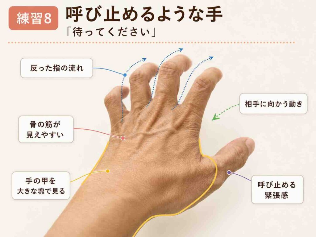 呼び止めるような手で反った指の流れ、手の甲の骨や筋、相手に向かう動きを示したデッサン解説図