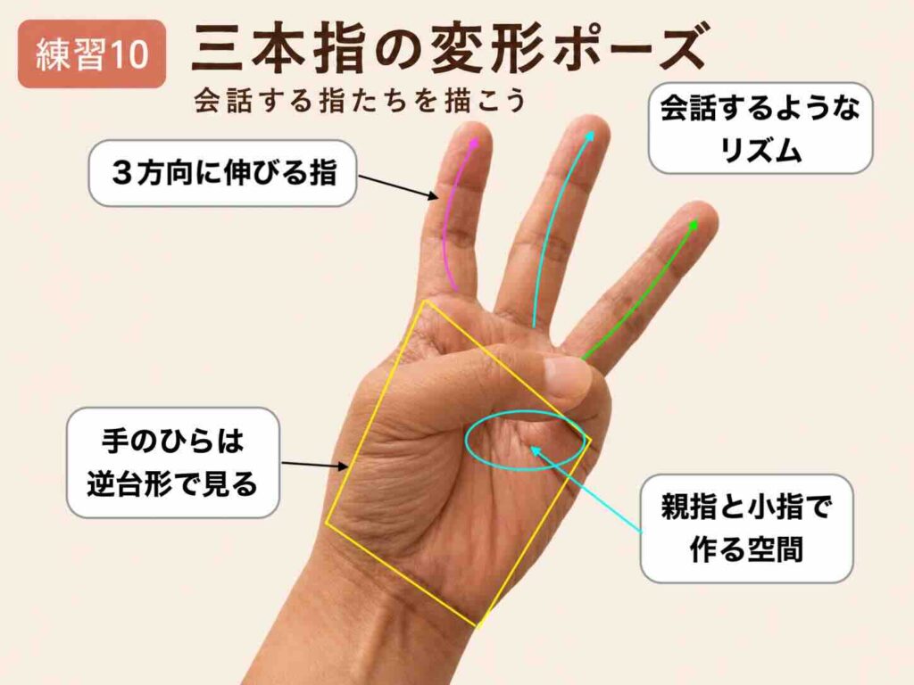 三本指の変形ポーズで3方向へ伸びる指、手のひらの大きな形、指が作る空間とリズムを示したデッサン解説図