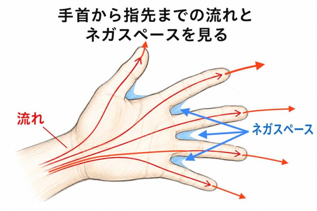 手首から指先へ伸びる赤い矢印で手の流れを示し、指と指の間のネガスペースを青色で強調したデッサン練習用の解説図